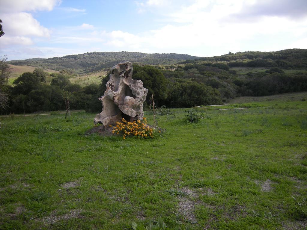 Country House Vignola Mare Aglientu Bagian luar foto