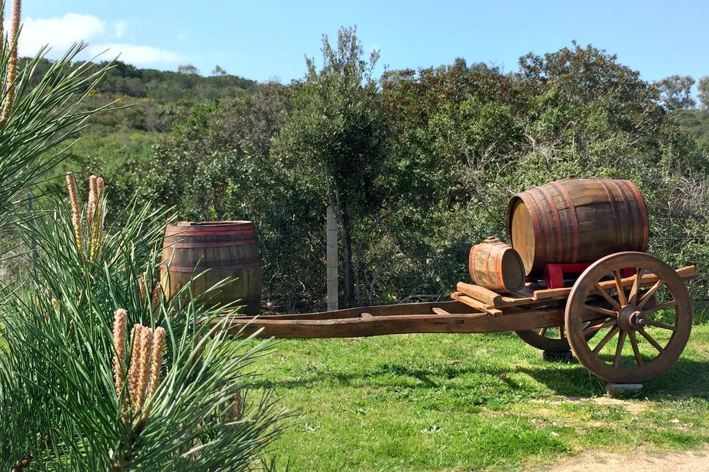 Country House Vignola Mare Aglientu Bagian luar foto