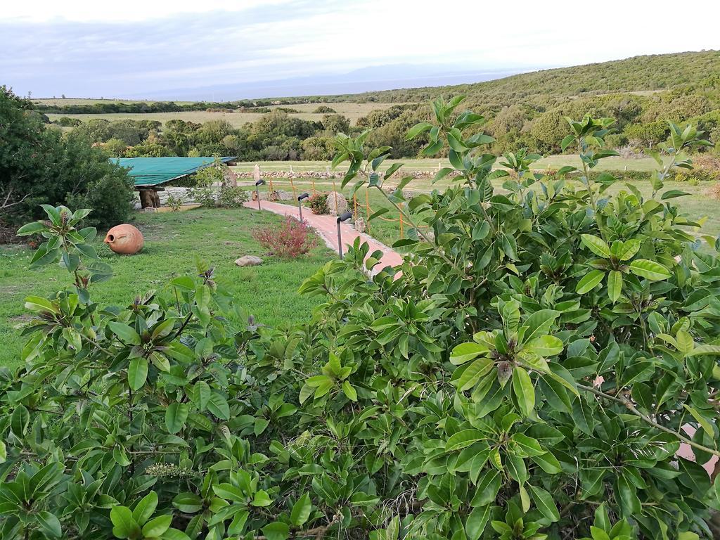 Country House Vignola Mare Aglientu Bagian luar foto