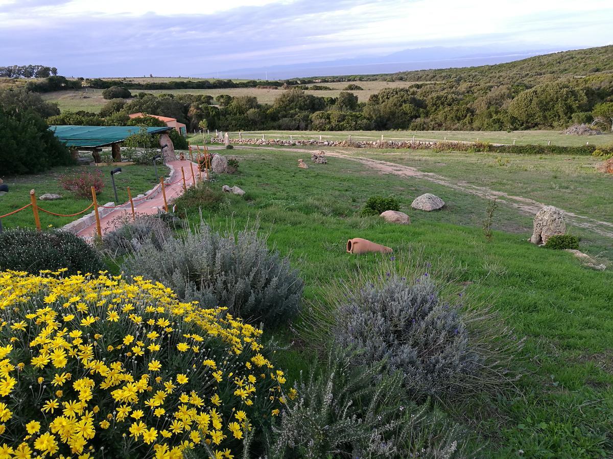 Country House Vignola Mare Aglientu Bagian luar foto